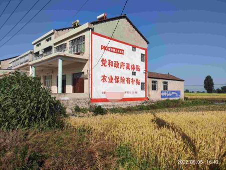光泽墙体广告多少钱一平