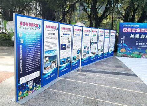 光泽KT板的种类和知识。